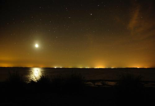 Hombre Lobo: Rabia en Do&ntilde;ana 11