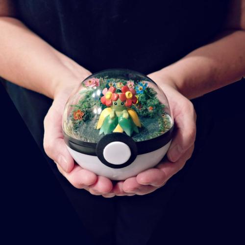 Actividad creativa: Pokeball especial